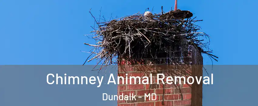  Chimney Animal Removal Dundalk - MD