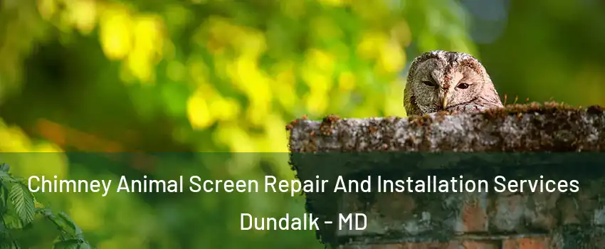  Chimney Animal Screen Repair And Installation Services Dundalk - MD