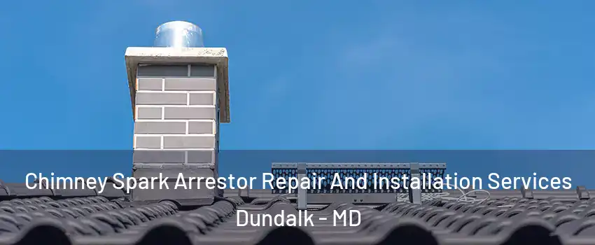  Chimney Spark Arrestor Repair And Installation Services Dundalk - MD