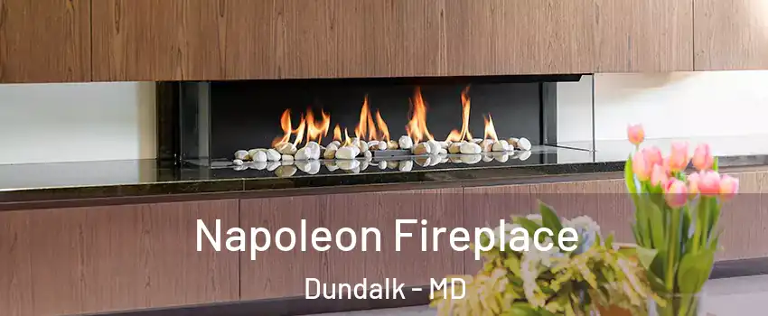  Napoleon Fireplace Dundalk - MD